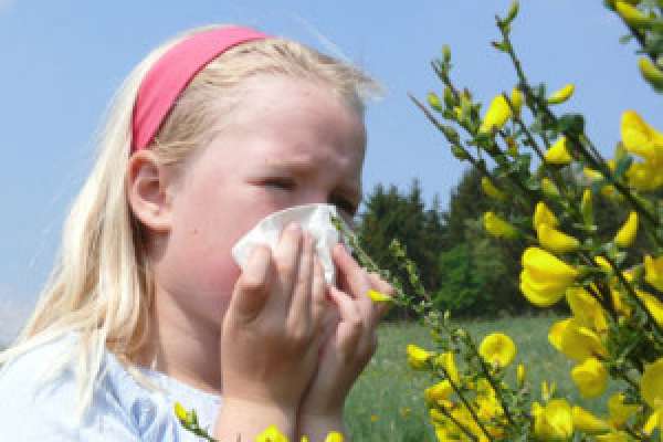 Растения, вызывающие аллергию